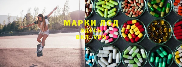 индика Балахна