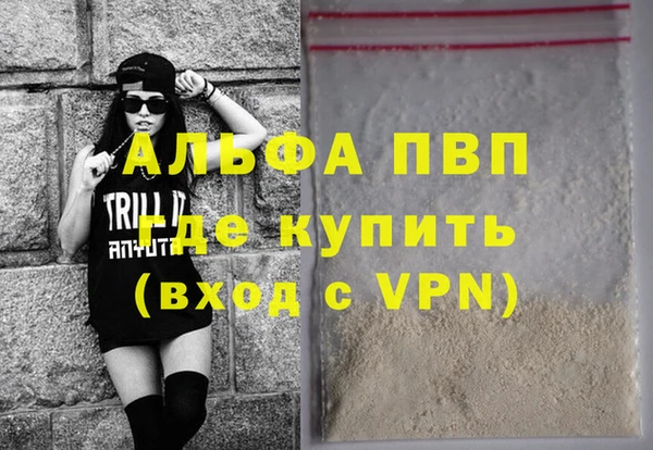 индика Балахна