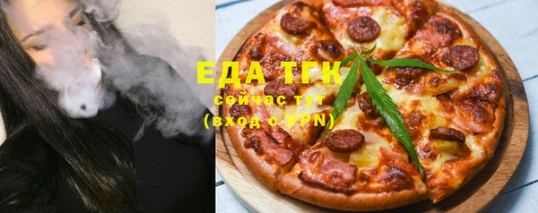 индика Балахна