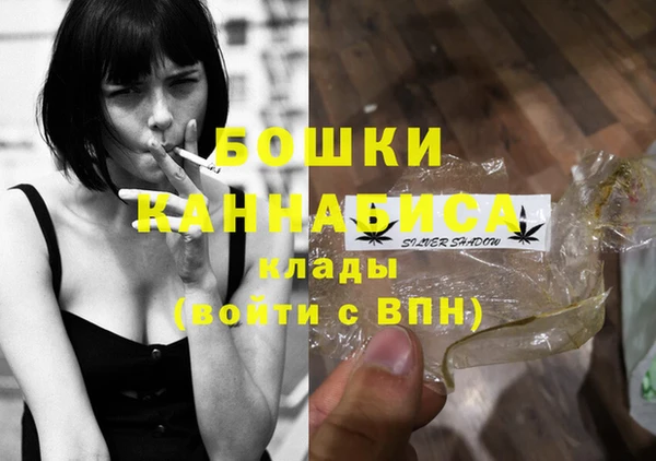 индика Балахна